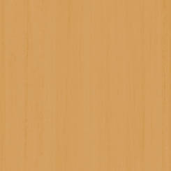 ���i�F���{���C�g�E�b�h