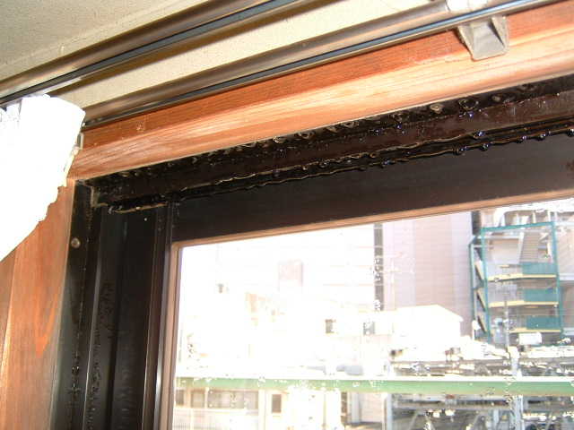 �C���v���X�{�H�O�g��ʐ^4