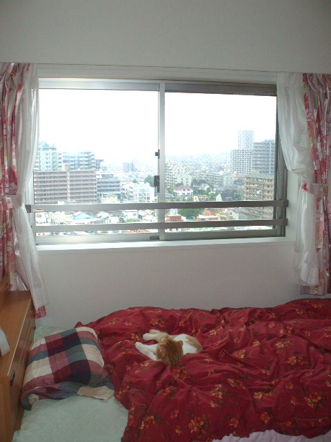 �C���v���X�{�H�O�ʐ^13