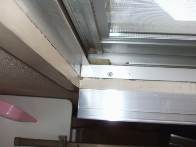 �ӂ����g�̉��g��t��̎ʐ^