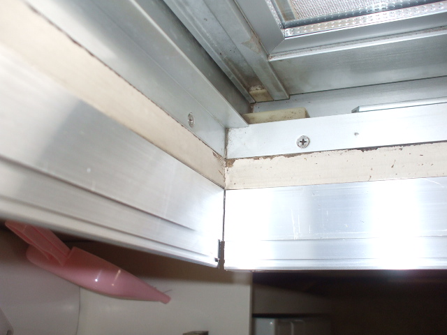 �ӂ����g��t��̎ʐ^